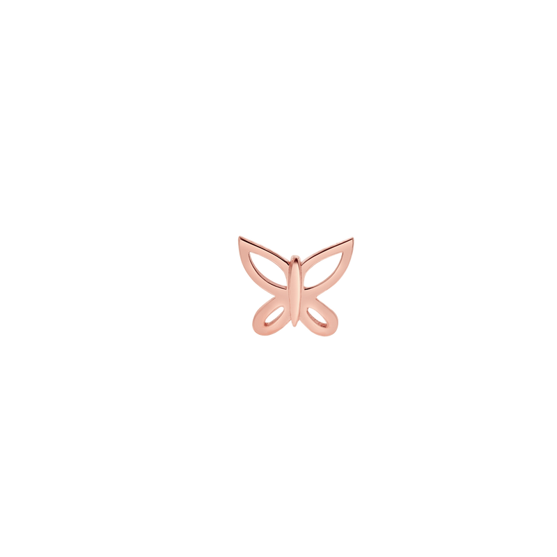 E-DBUT_r1_800x.png