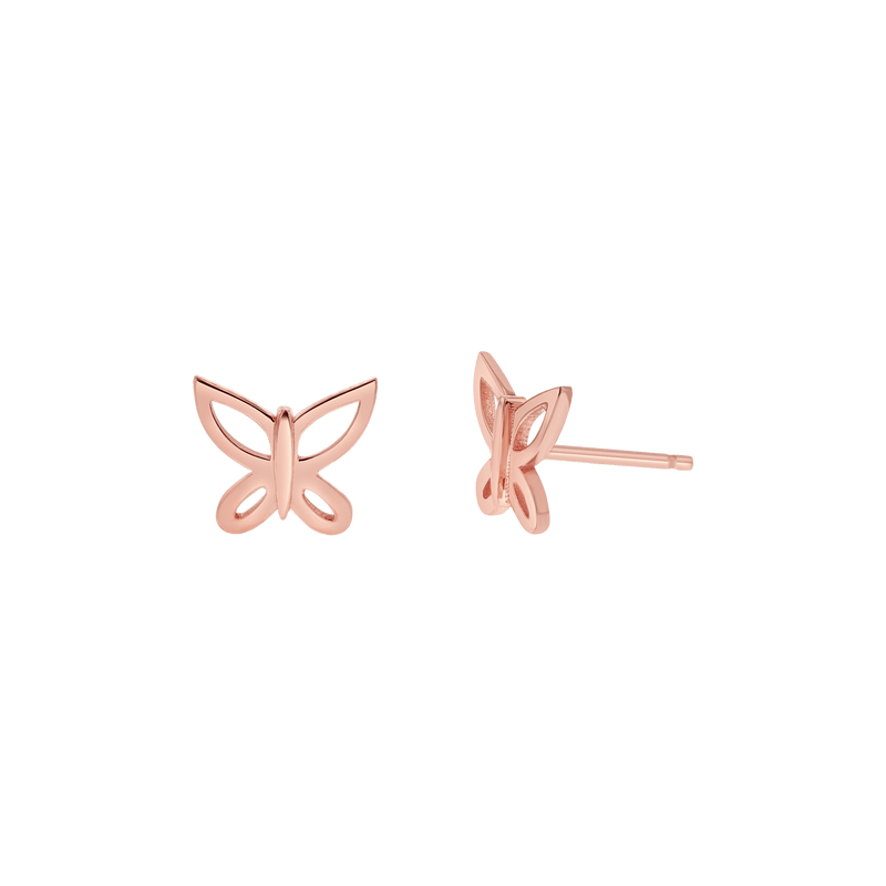 E-DBUT_r_800x.png
