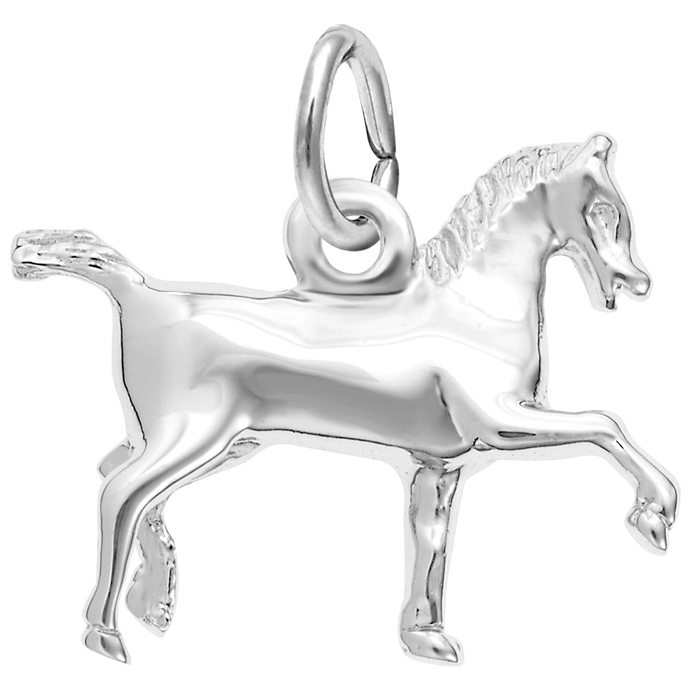 0357-Silver-Horse-RC.jpg