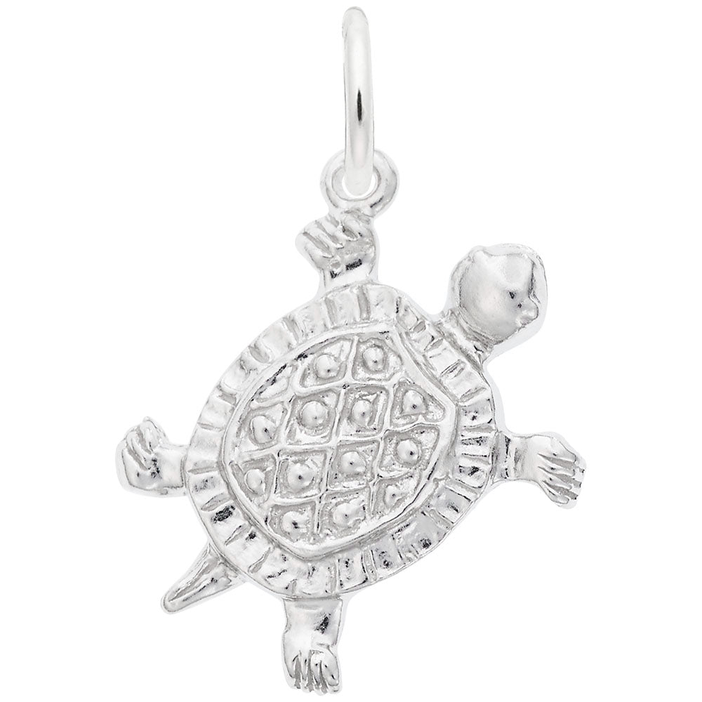 0530-Silver-Turtle-RC.jpg